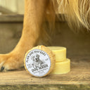 Dog wash soap bar with a dog illustration on a wooden surface, with a dog's paw in the background.